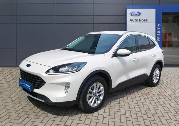 ford kuga ćmielów Ford Kuga cena 105000 przebieg: 12835, rok produkcji 2021 z Ćmielów